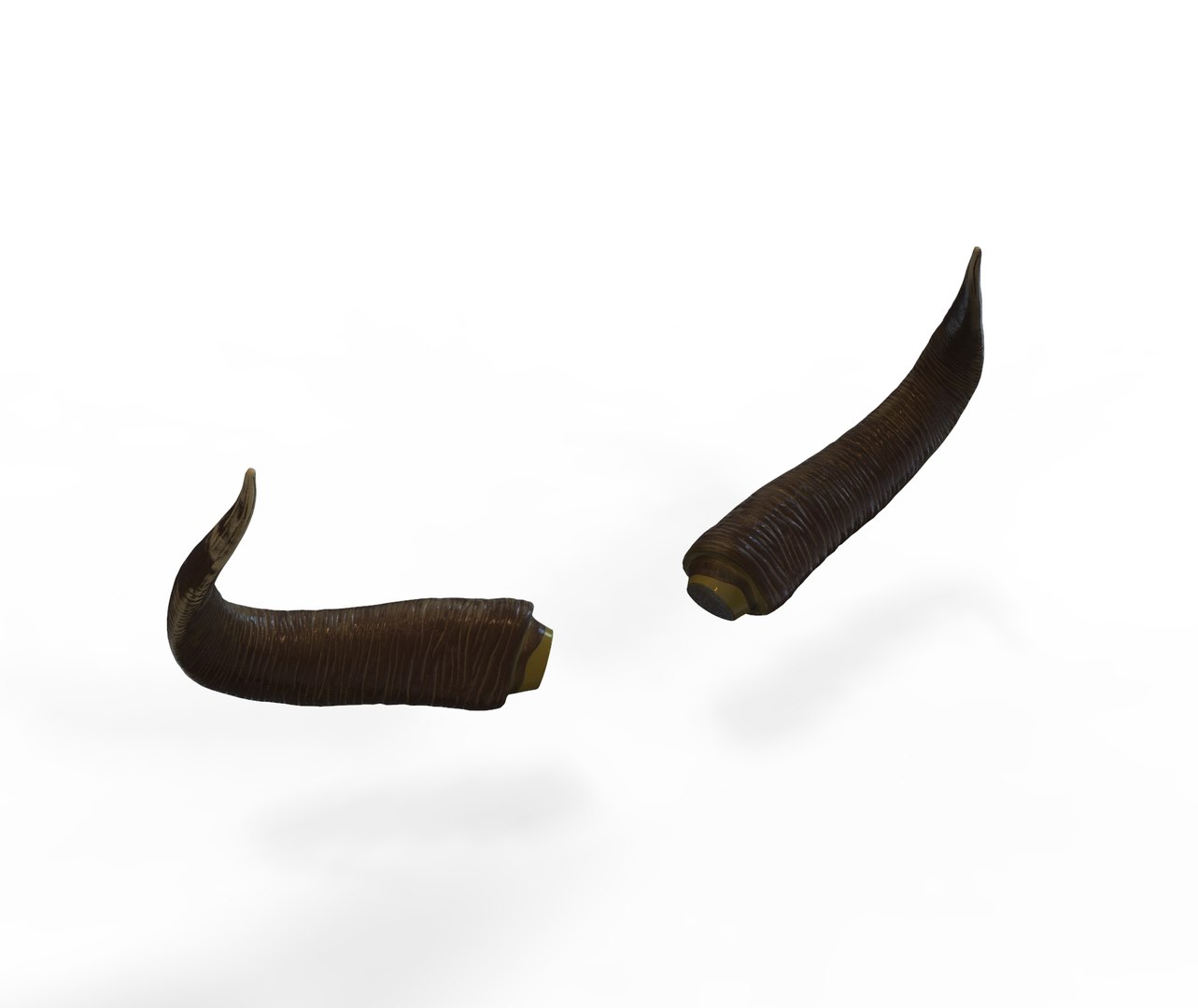 3D horns bull https://p.turbosquid.com/ts-thumb/pv/jS8ojD/29vuAeT1/deerhorns.61/jpg/1587222049/1920x1080/fit_q87/65e16e16d405ae4aa1064d868ded0076cdd82140/deerhorns.61.jpg