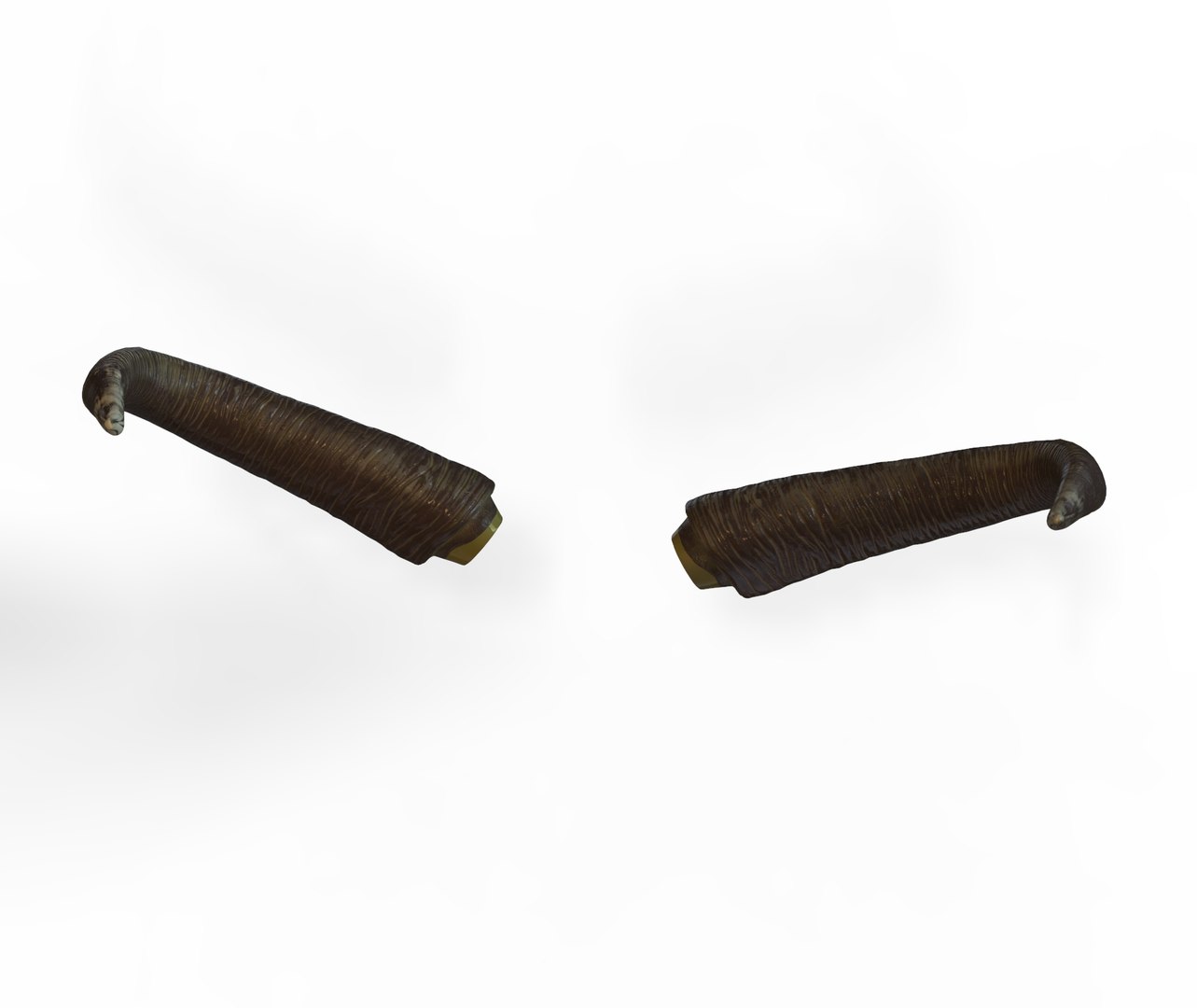 3D horns bull https://p.turbosquid.com/ts-thumb/pv/jS8ojD/6tz5sUpG/deerhorns.65/jpg/1587222049/1920x1080/fit_q87/2a76a87ed9ef7b2918e03f957f4fe0de873612fb/deerhorns.65.jpg