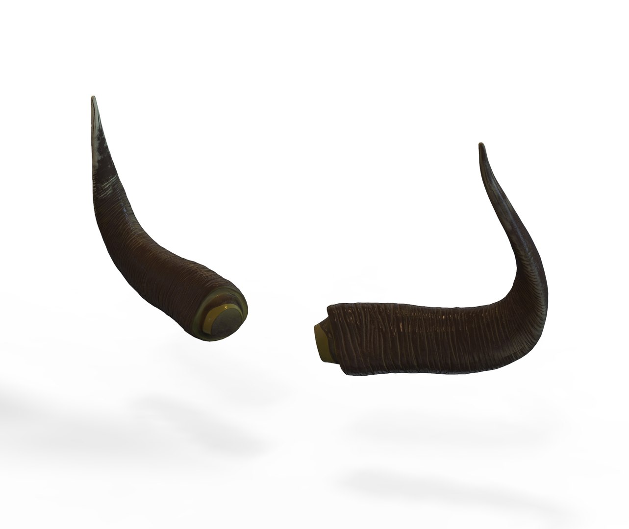 3D horns bull https://p.turbosquid.com/ts-thumb/pv/jS8ojD/mO6jSnl5/deerhorns.64/jpg/1587222049/1920x1080/fit_q87/24492abab2dceaa7170fca0326c433c81f166061/deerhorns.64.jpg