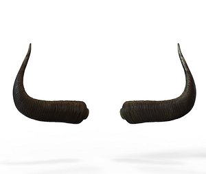 3D horns bull