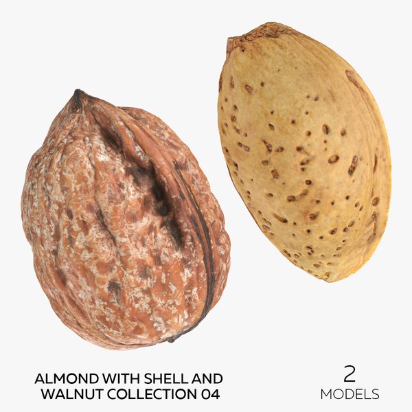 3D Almond With Shell and Walnut Collection 04 - 2 models