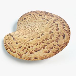 3D pheasant mushroom