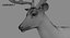deer rigged 3D model