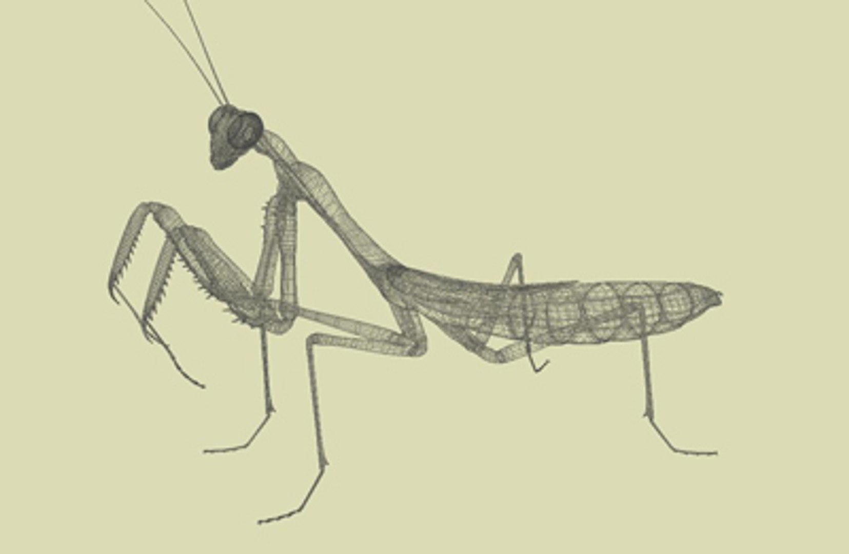 Praying Mantis 3d 3ds