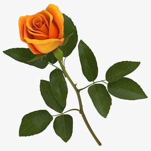 rose orange - 3D model