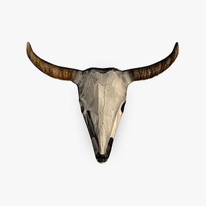 3d model of buffalo skull