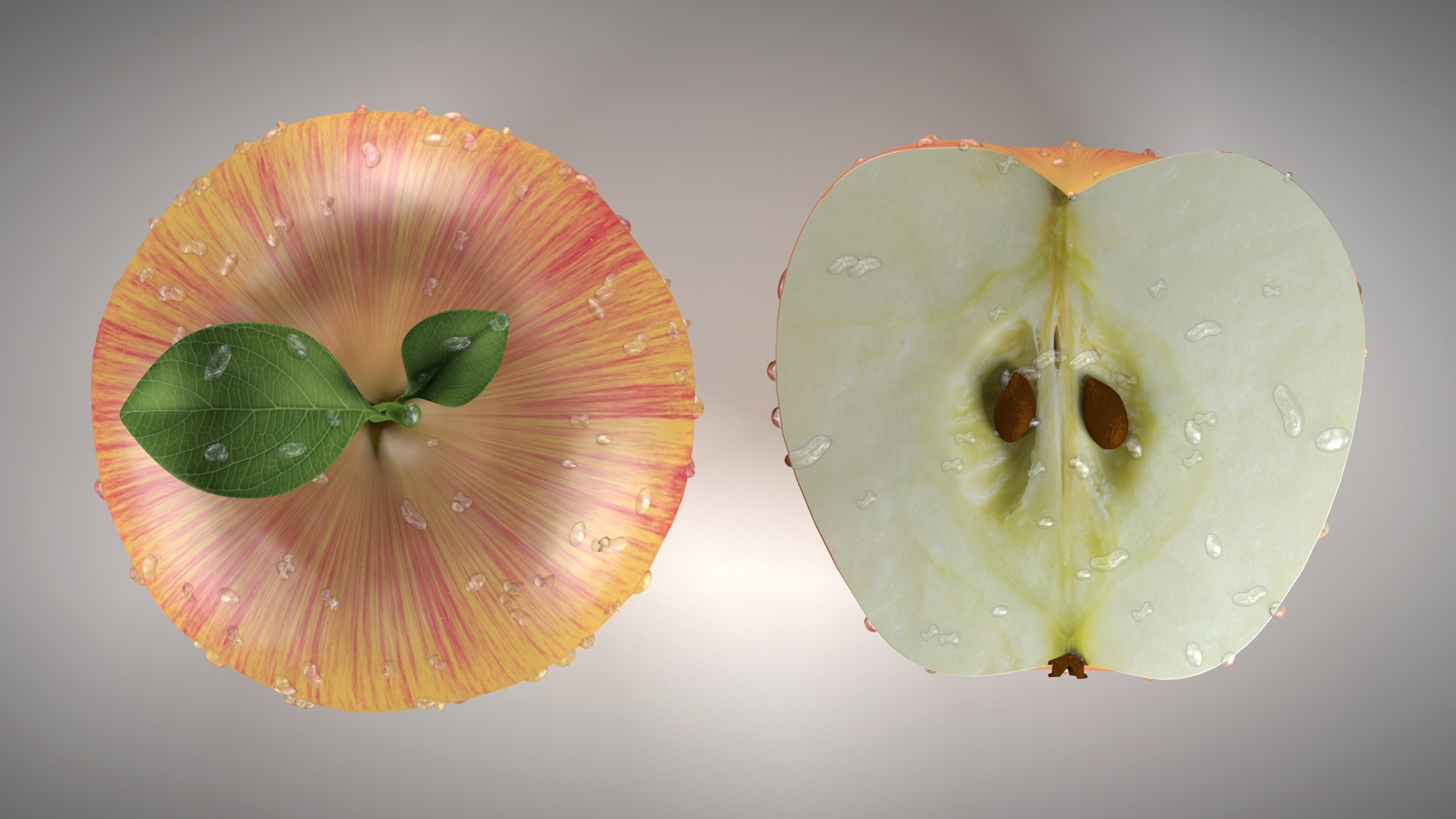 apple 3D model https://p.turbosquid.com/ts-thumb/pw/Lhuykx/7tc6Fo22/apple5/jpg/1508776363/1920x1080/fit_q87/f81f5291a59d973d194b9e7cdfb9d38923302461/apple5.jpg
