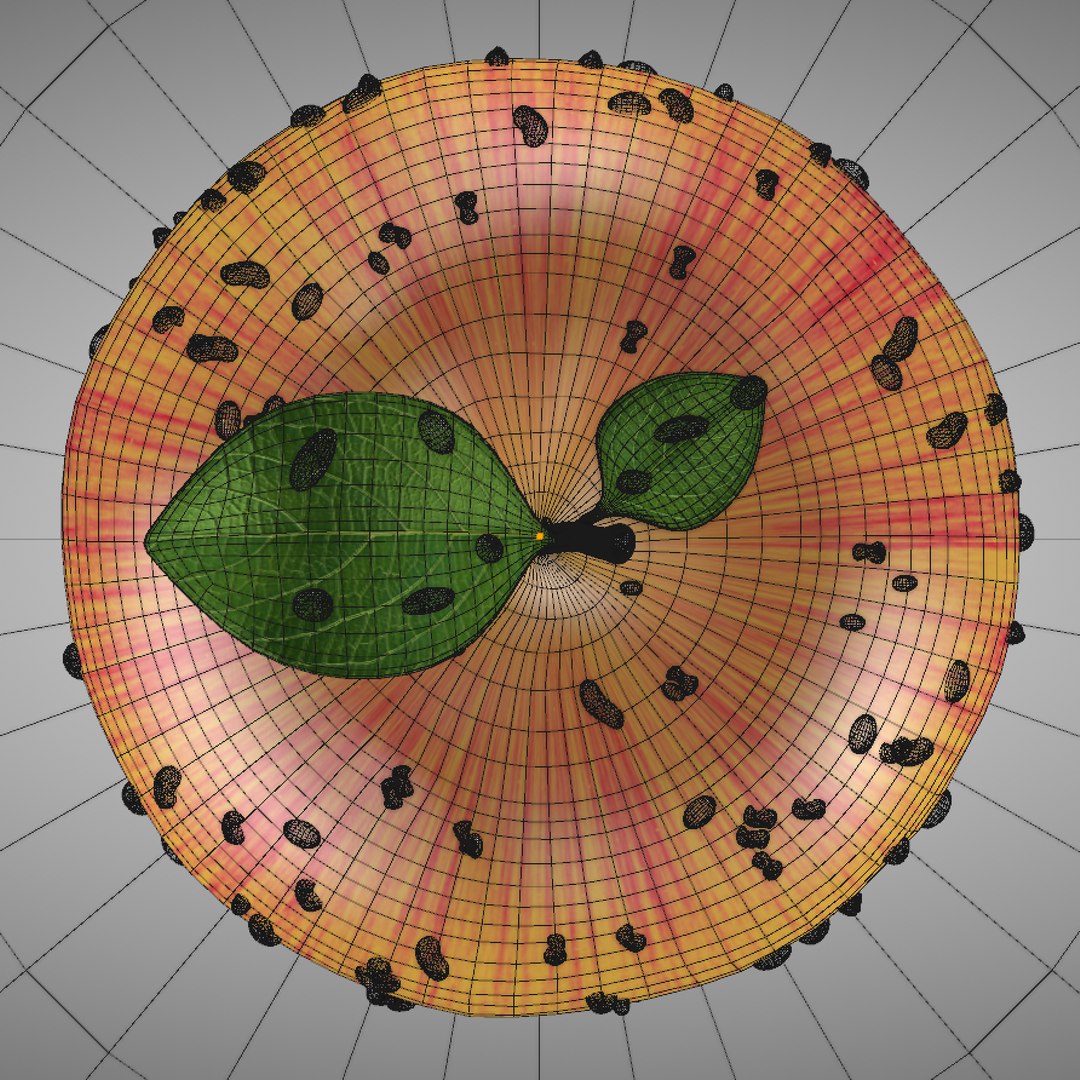 apple 3D model https://p.turbosquid.com/ts-thumb/pw/Lhuykx/KJr7L09v/screenshot20171023at18.39.01/png/1508776466/1920x1080/fit_q87/0000de1a637f92175e45e5611a1409e12ac833e2/screenshot20171023at18.39.01.jpg