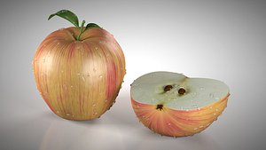 apple 3D model