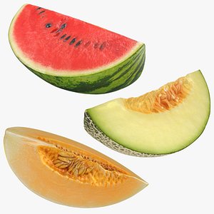 Melon Slice Collection 3D model