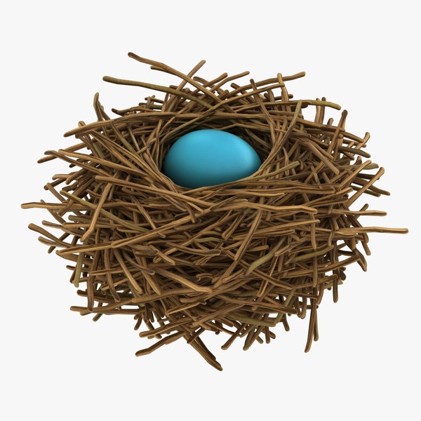 Realistic bird nest 04 3D model - TurboSquid 1561566