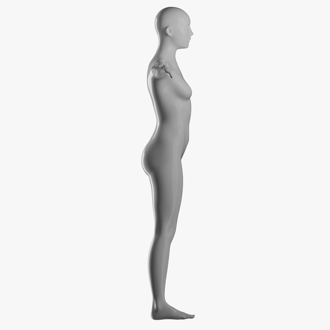 Animated Female Mannequin 3D model https://p.turbosquid.com/ts-thumb/pw/cLjdlr/8q/360fema7/png/1715324916/1920x1080/fit_q87/1315a049de78fc52ec1db0d7267c1cea1ed42769/360fema7.jpg