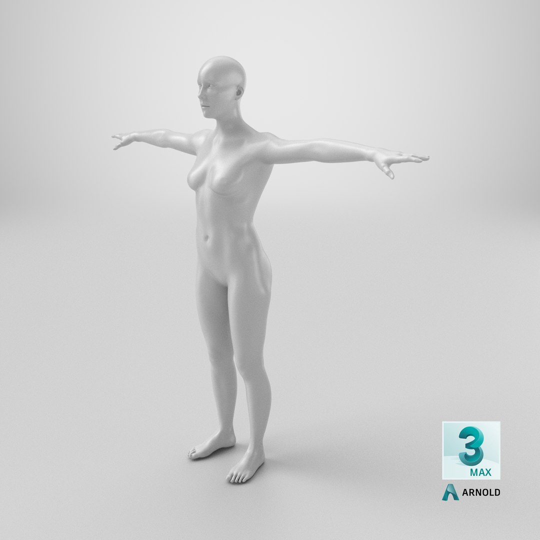 Animated Female Mannequin 3D model https://p.turbosquid.com/ts-thumb/pw/cLjdlr/DB/stemcell_max_arnold_render/png/1731686161/1920x1080/fit_q87/8e174d276c7a262a6601c7ad05c0b24b7e6a3756/stemcell_max_arnold_render.jpg