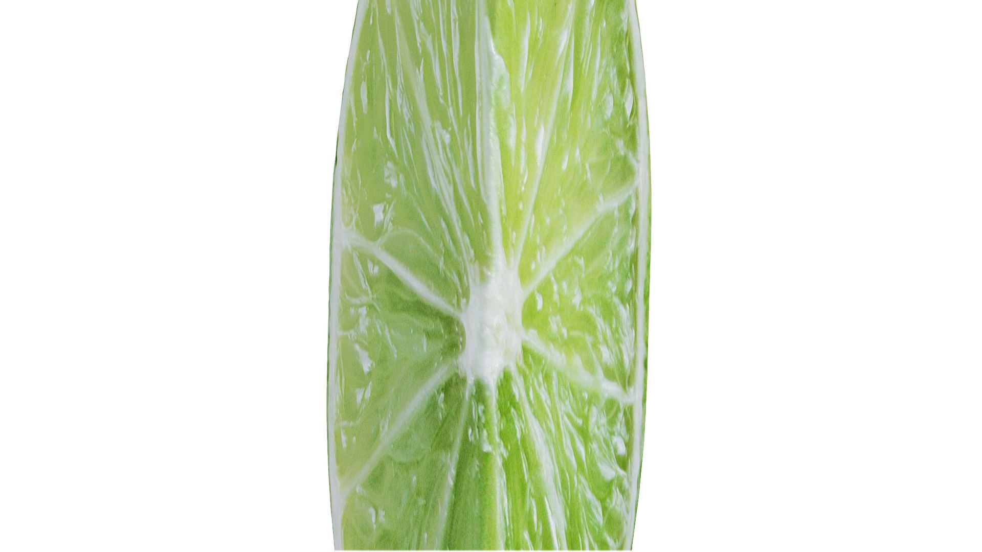 Lime slice 3D model https://p.turbosquid.com/ts-thumb/pw/dSb9Bn/VV/05/png/1648677661/1920x1080/fit_q87/9db337ebb6b3d7d5337eefdd42ce91a7607f58f4/05.jpg