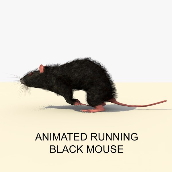 3d black running mouse animations
