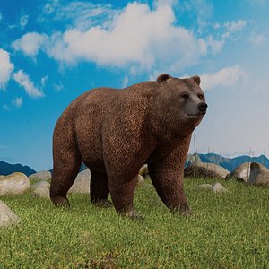 Realistic Wild Bear