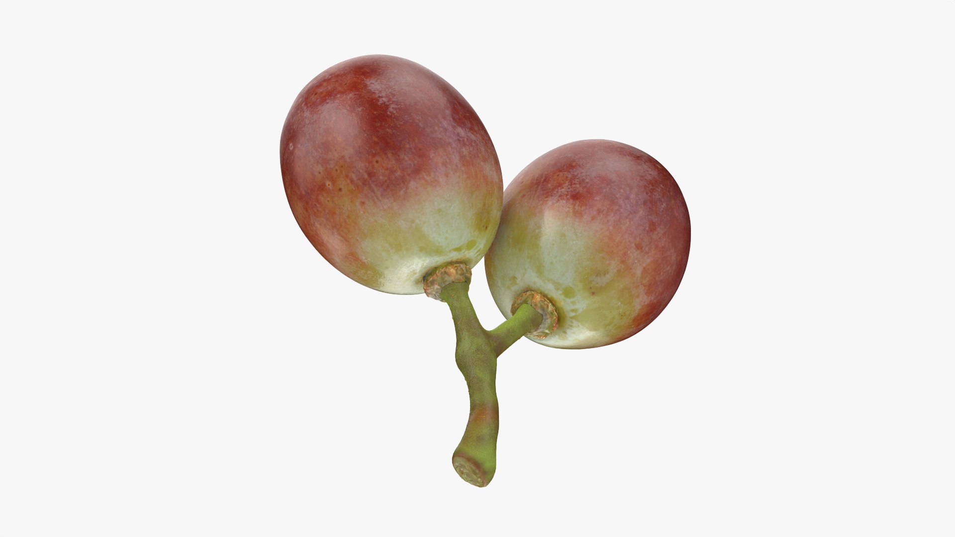 Small Bunch Grapes 3 3D https://p.turbosquid.com/ts-thumb/pw/zIctdP/AN/smbunchgrape3_0008/png/1779358024/1920x1080/fit_q87/306aa114eeae15e91b217765ed3ac1117cde1773/smbunchgrape3_0008.jpg