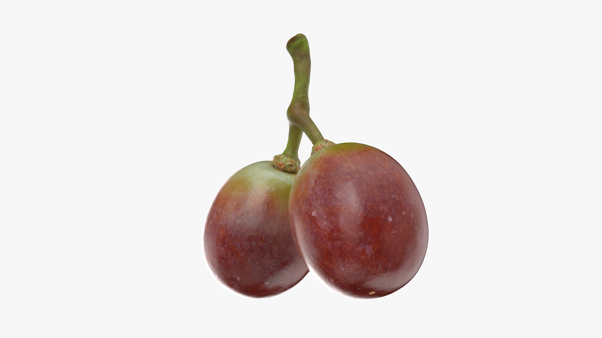 Small Bunch Grapes 3 3D https://p.turbosquid.com/ts-thumb/pw/zIctdP/IQ/smbunchgrape3_0005/png/1779358018/1920x1080/fit_q87/2f862a1602fcae4a51e01d6aa33255148f21bb91/smbunchgrape3_0005.jpg