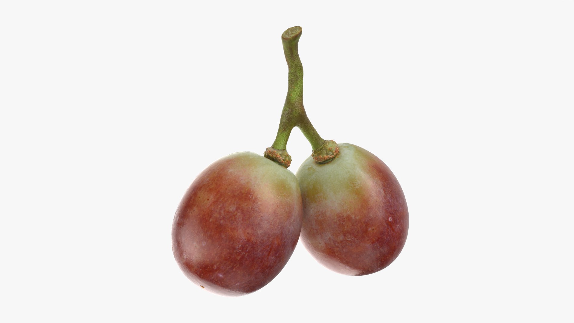 Small Bunch Grapes 3 3D https://p.turbosquid.com/ts-thumb/pw/zIctdP/NK/smbunchgrape3_0004/png/1779358020/1920x1080/fit_q87/68b67afcaea70a73243f700a573aa65987a61aab/smbunchgrape3_0004.jpg