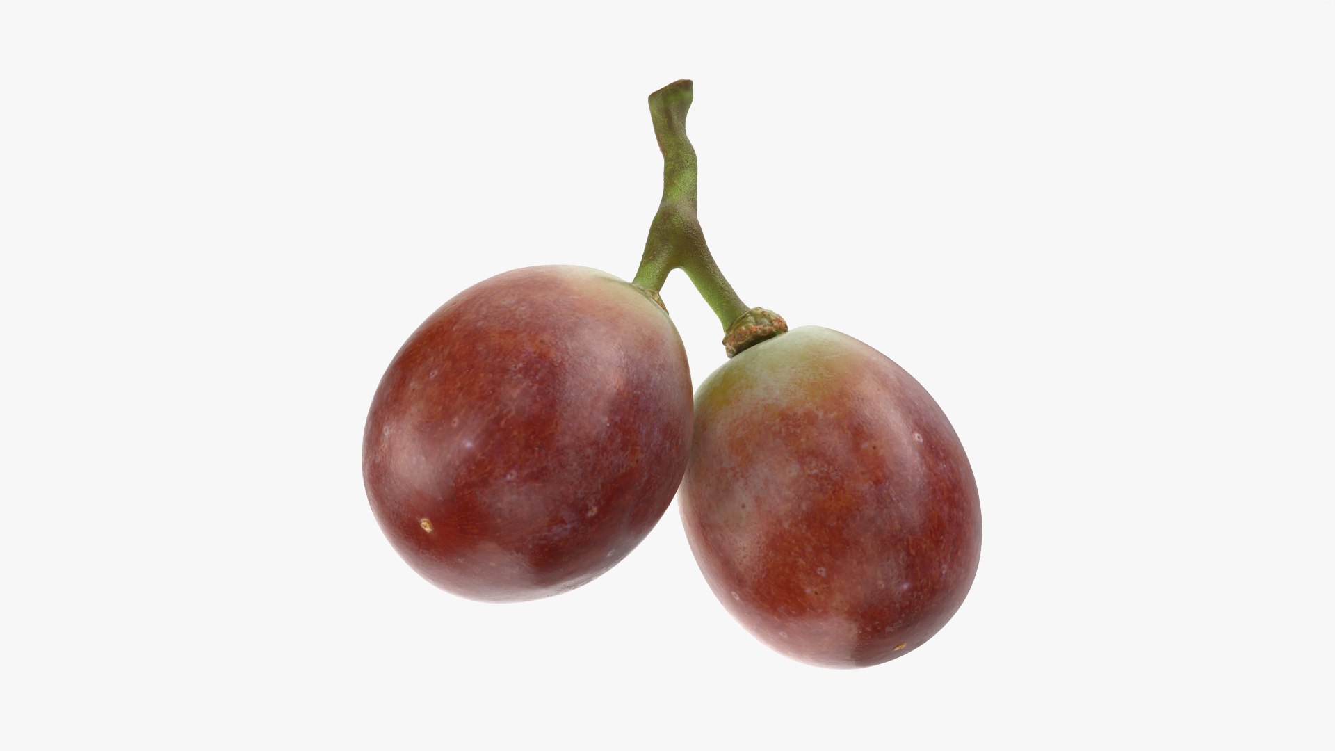 Small Bunch Grapes 3 3D https://p.turbosquid.com/ts-thumb/pw/zIctdP/QL/smbunchgrape3_0009/png/1779358024/1920x1080/fit_q87/6b7b43b2f16210c8cb8c151deb815350b6f03e10/smbunchgrape3_0009.jpg