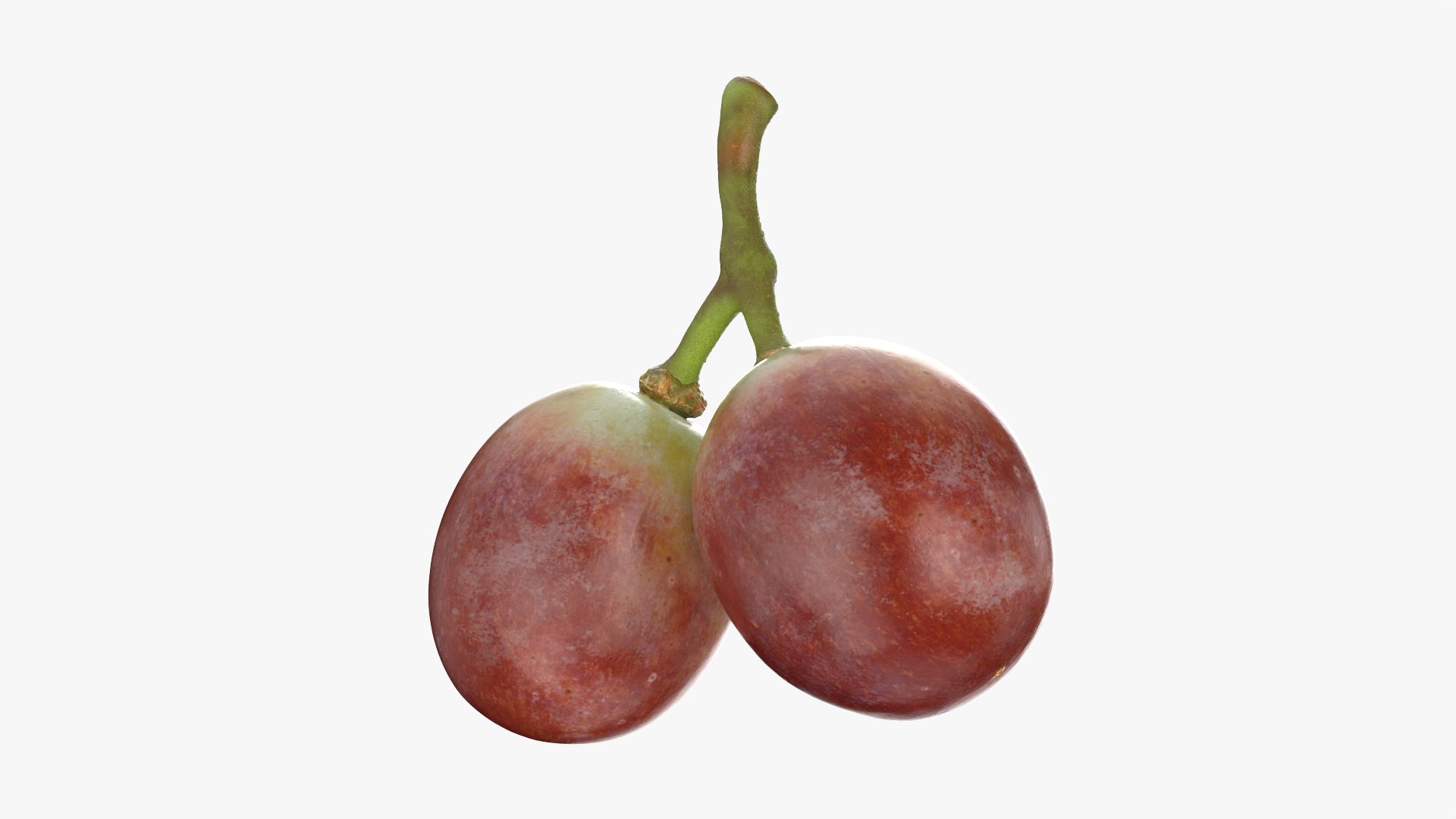 Small Bunch Grapes 3 3D https://p.turbosquid.com/ts-thumb/pw/zIctdP/XN/smbunchgrape3_0003/png/1779358018/1920x1080/fit_q87/a0e28623e65b1b2d9f7c7edc4a914f77956d0899/smbunchgrape3_0003.jpg