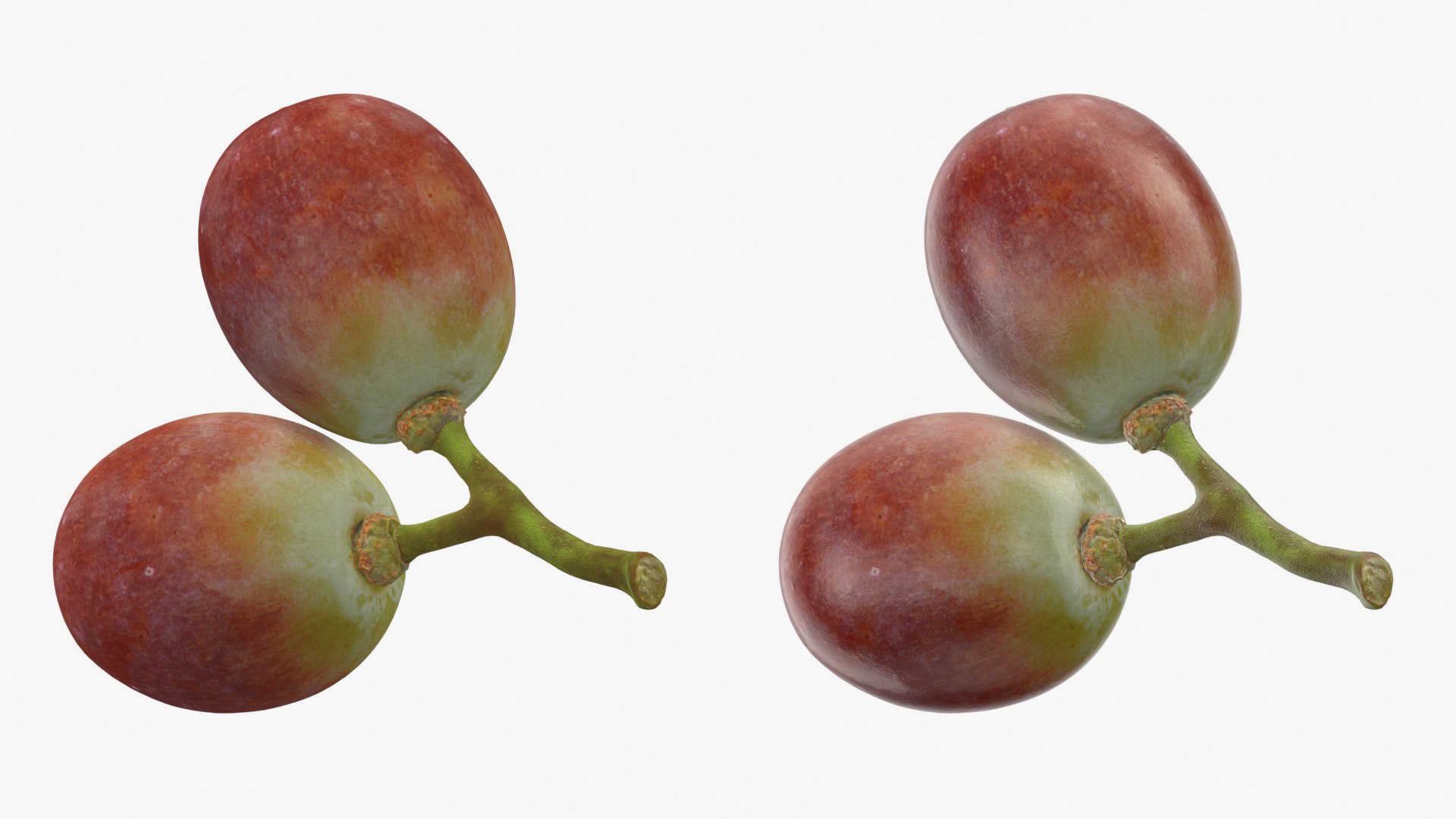 Small Bunch Grapes 3 3D https://p.turbosquid.com/ts-thumb/pw/zIctdP/a8/smbunchgrape3_0001b/png/1779358014/1920x1080/fit_q87/91a4317ffd750fc68ed1af2332bacb1936adc0b3/smbunchgrape3_0001b.jpg