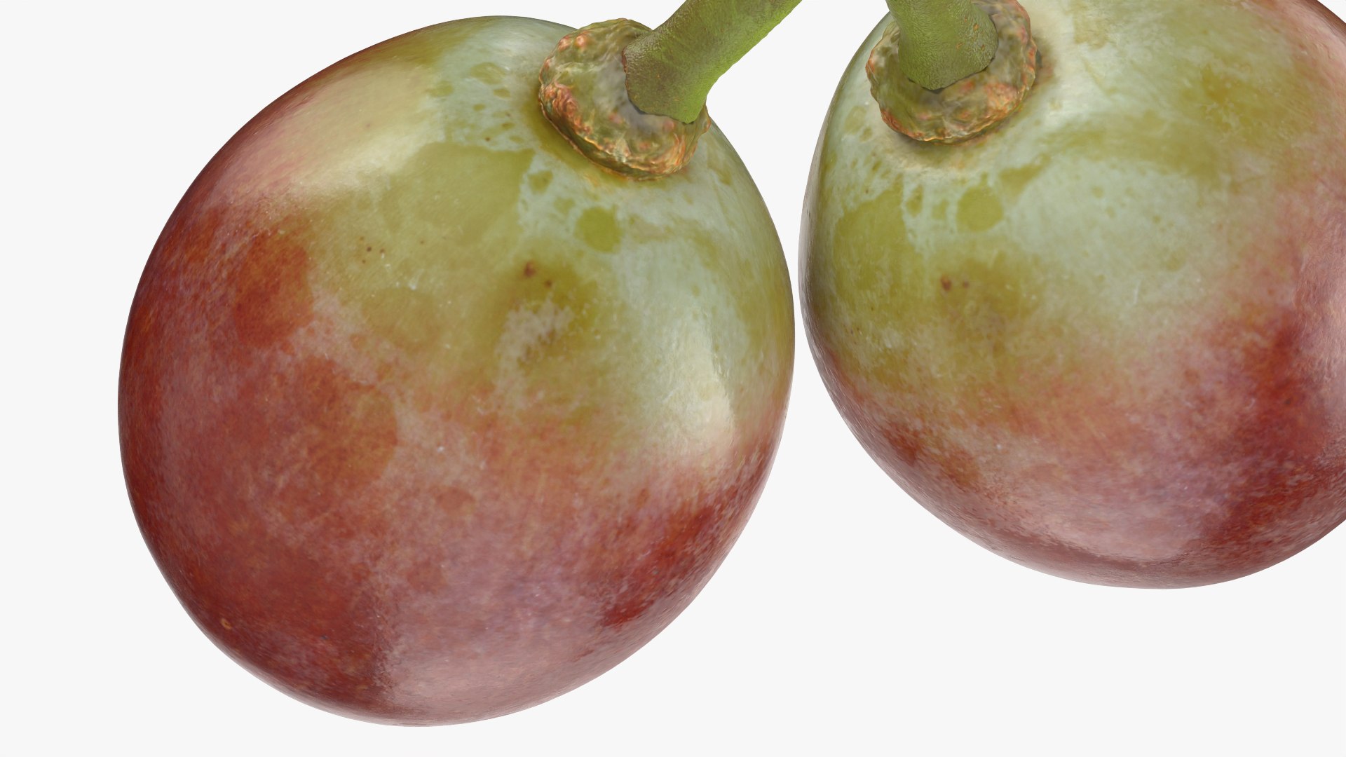 Small Bunch Grapes 3 3D https://p.turbosquid.com/ts-thumb/pw/zIctdP/fR/smbunchgrape3_0010/png/1779358029/1920x1080/fit_q87/b0740f99051ec83f2751bd51f06069bca70934ed/smbunchgrape3_0010.jpg