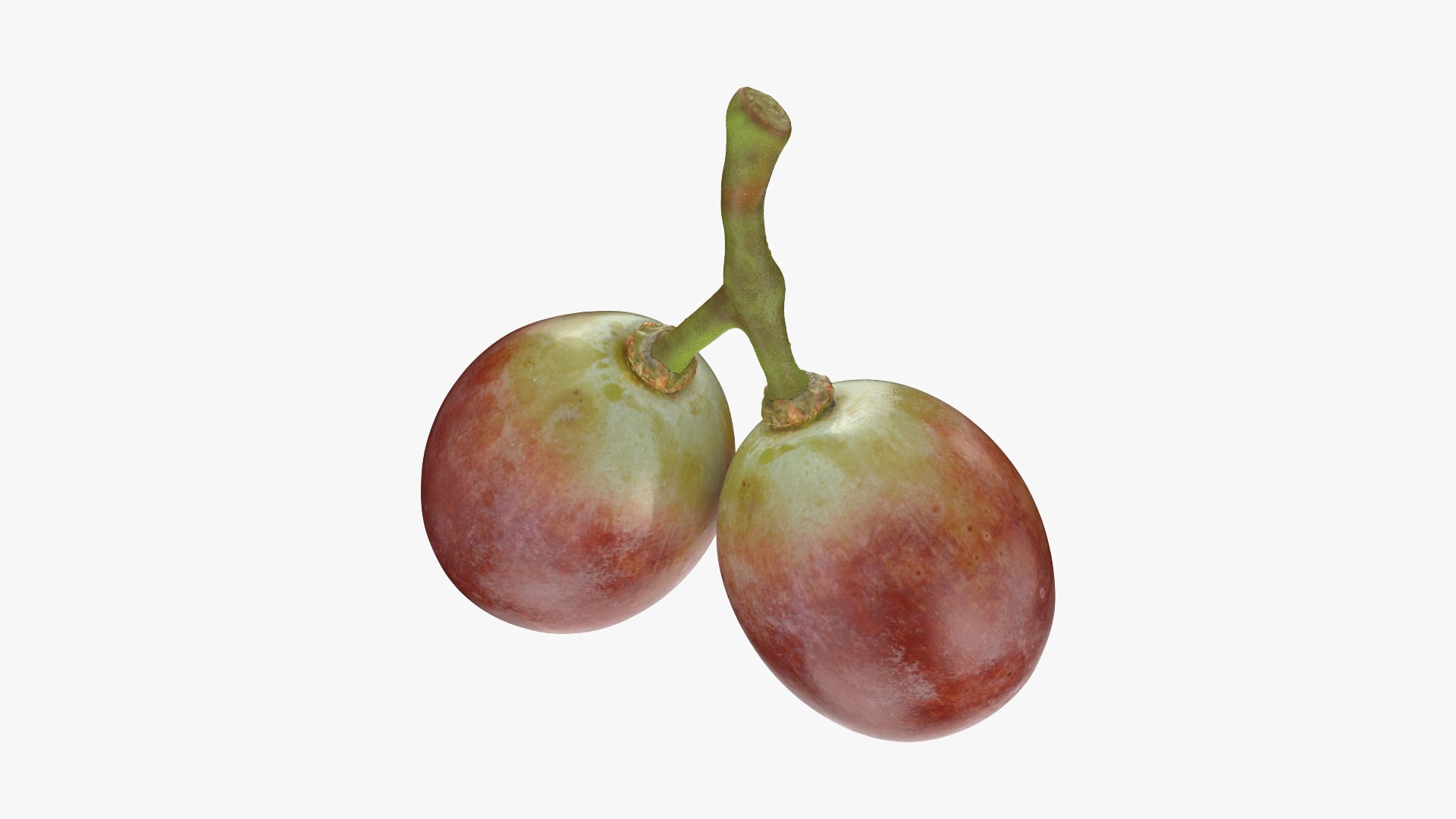 Small Bunch Grapes 3 3D https://p.turbosquid.com/ts-thumb/pw/zIctdP/n1/smbunchgrape3_0002/png/1779358016/1920x1080/fit_q87/f2b2644dc8c49e289868139f5566b4694a75fe40/smbunchgrape3_0002.jpg