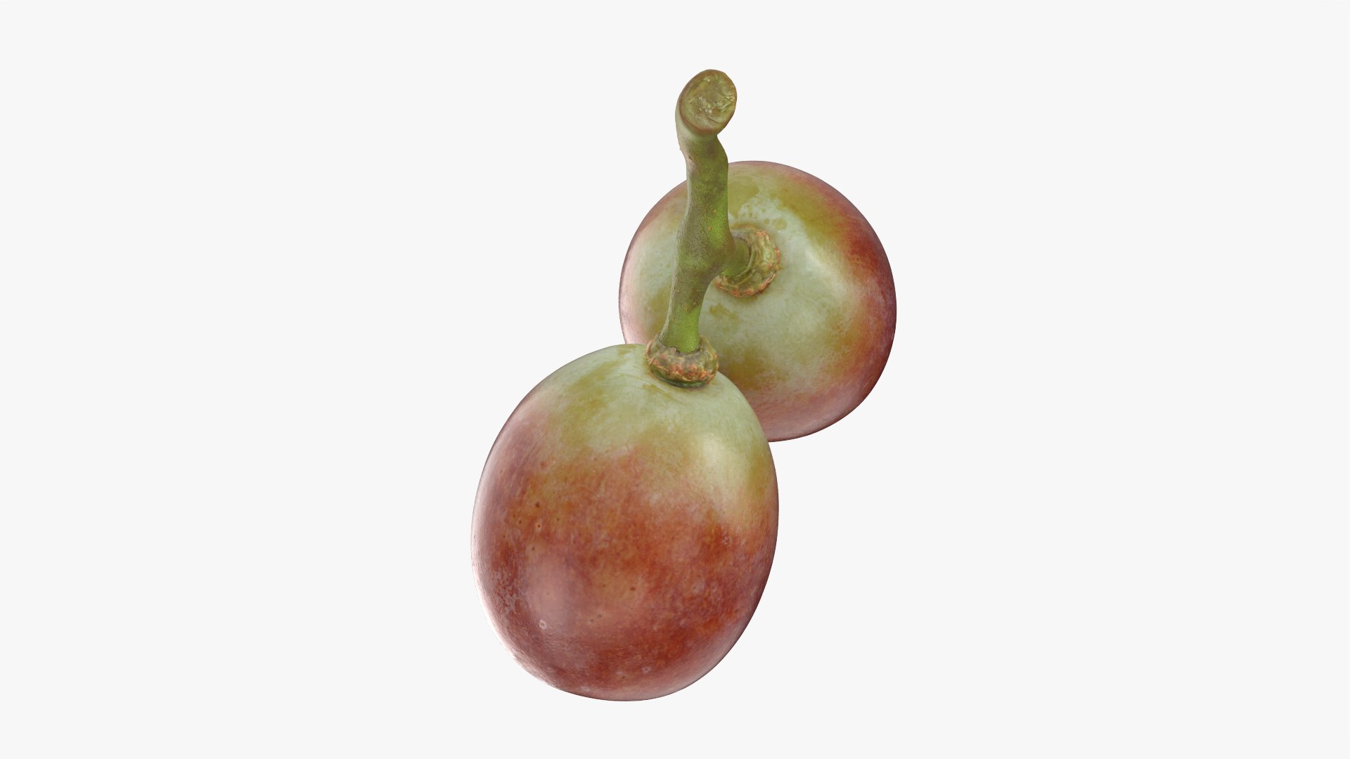 Small Bunch Grapes 3 3D https://p.turbosquid.com/ts-thumb/pw/zIctdP/nE/smbunchgrape3_0007/png/1779358022/1920x1080/fit_q87/71b6d8f010fd21982f30e8260ab4152966b0323e/smbunchgrape3_0007.jpg