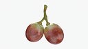Small Bunch Grapes 3