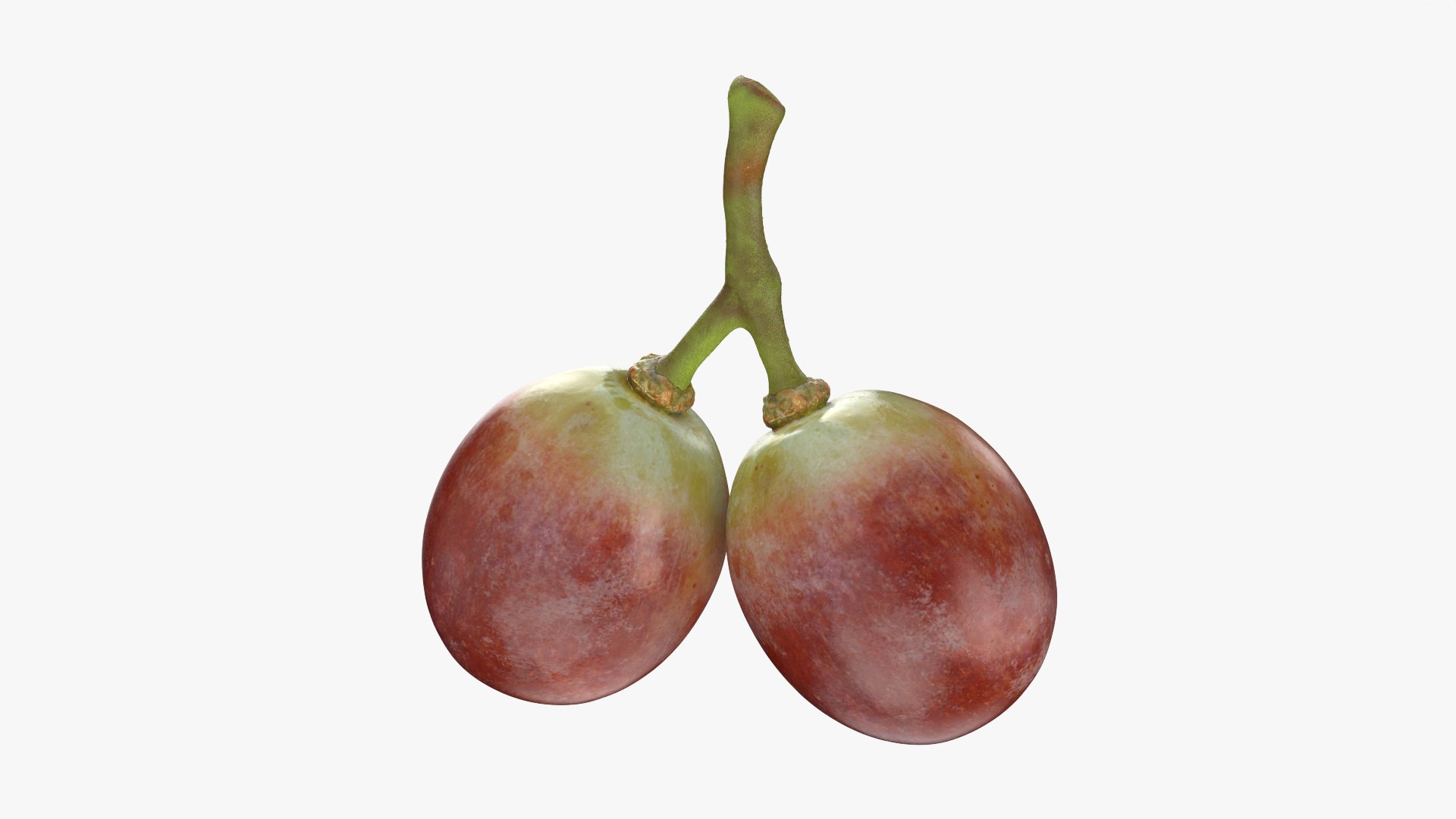 Small Bunch Grapes Collection 3D model https://p.turbosquid.com/ts-thumb/pw/zIctdP/qk/smbunchgrape3_0001/png/1789124588/1920x1080/fit_q87/178e3fe0a80fb99fd6089c7cb32da0dfd698ad34/smbunchgrape3_0001.jpg