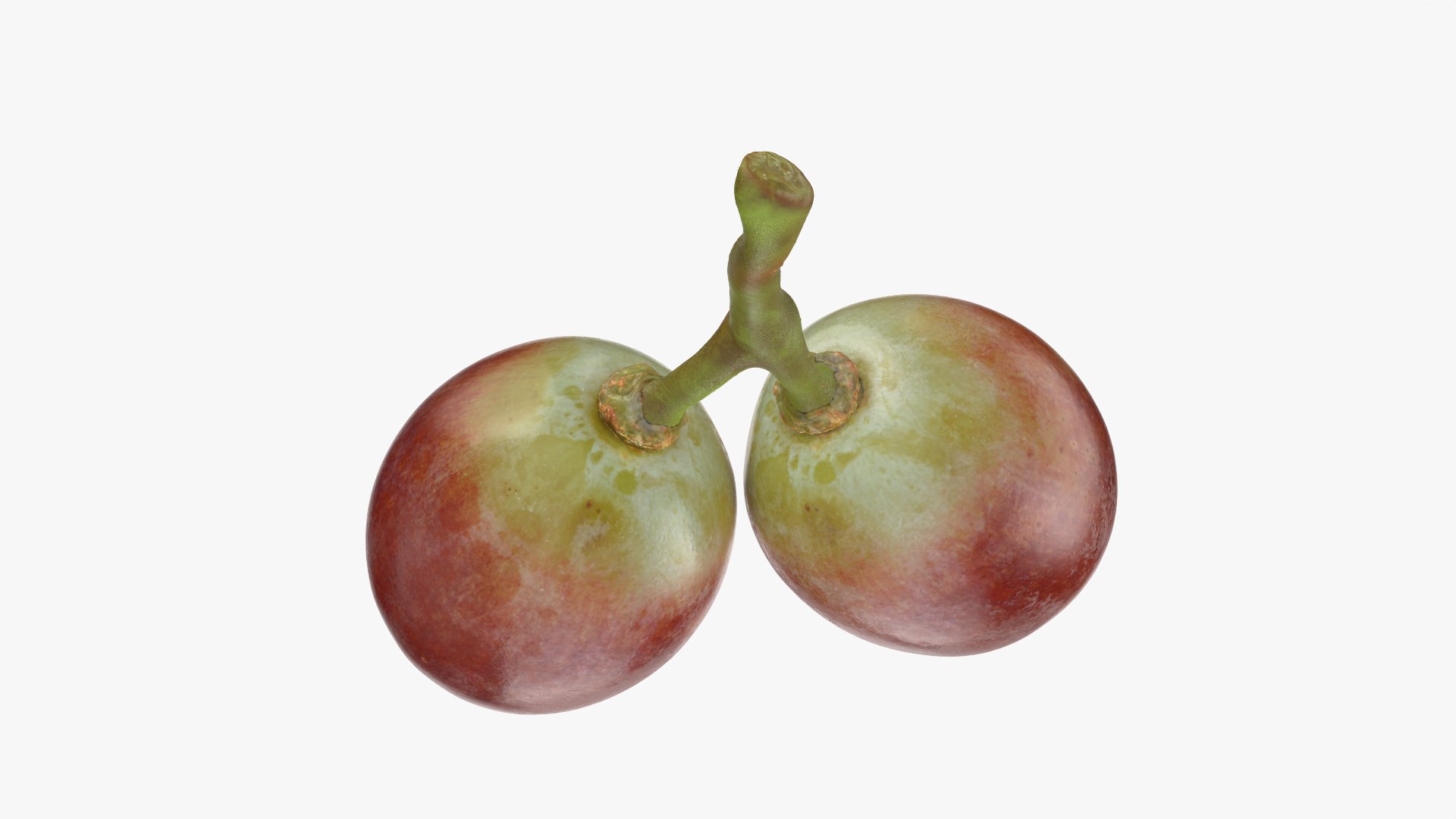 Small Bunch Grapes 3 3D https://p.turbosquid.com/ts-thumb/pw/zIctdP/s0/smbunchgrape3_0006/png/1779358021/1920x1080/fit_q87/7a024e36db3569966aaa34f06f803b5c38722654/smbunchgrape3_0006.jpg