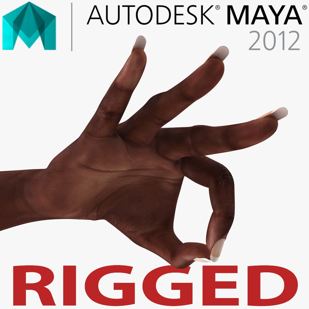 Female Hand African American 2 Rigged for Maya 3D model preview