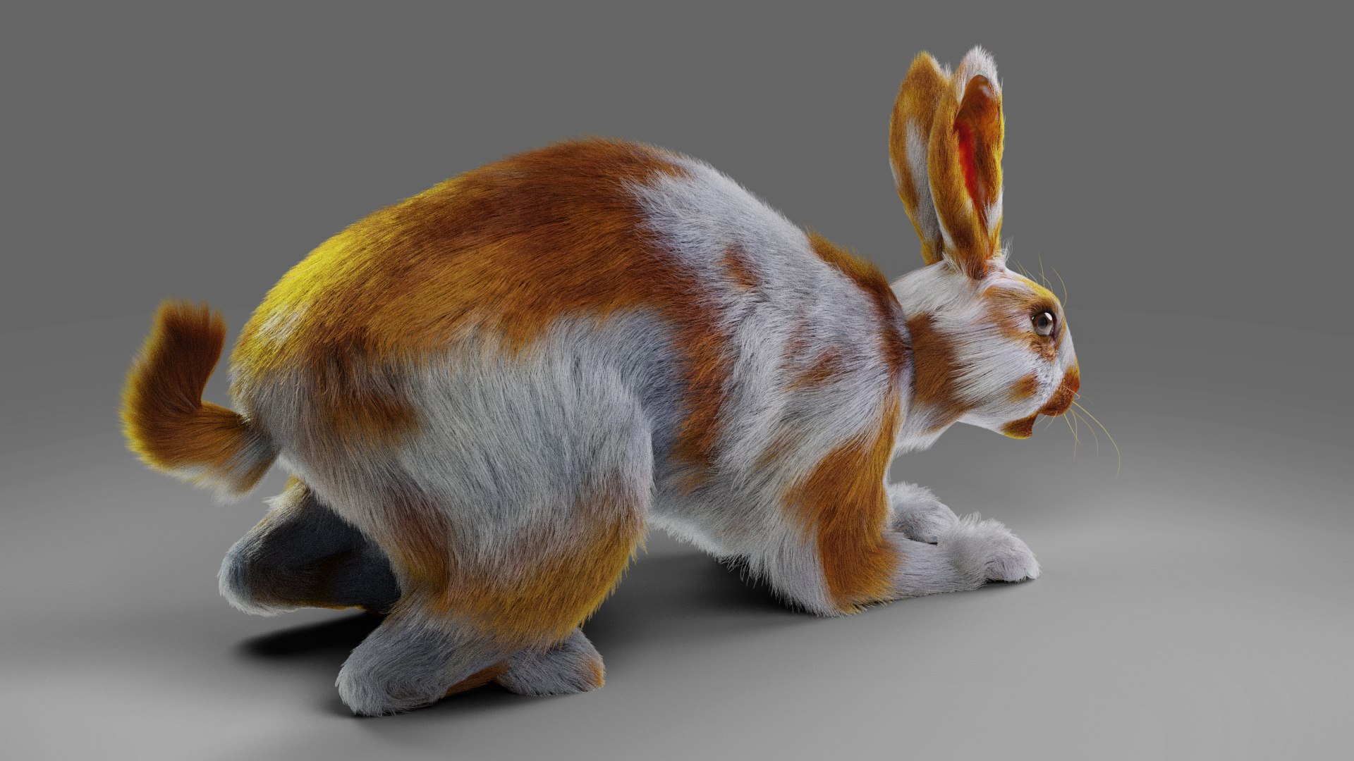 3D Fur Rabbit Gray V03 Rigged And Animation Model - TurboSquid 1930792