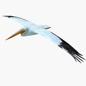 pelican flying 3ds