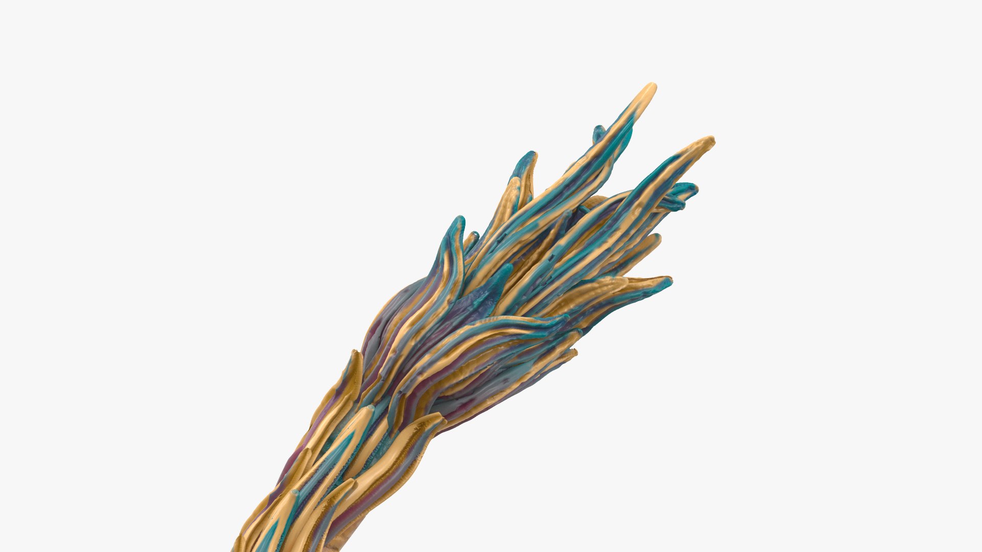 3D Mythical Creature Asian Dragon Blue Flying model https://p.turbosquid.com/ts-thumb/px/VWMPjw/z0/mythicalcreatureasiandragonblueflying3dsmodel013/jpg/1711108074/1920x1080/fit_q87/33b288ac9cc13b89ec441cf7e6e734c02718d896/mythicalcreatureasiandragonblueflying3dsmodel013.jpg