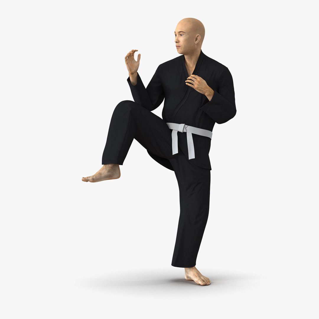 Japanese Karate Fighter Black Suit Pose 3 3D Model 3D model preview