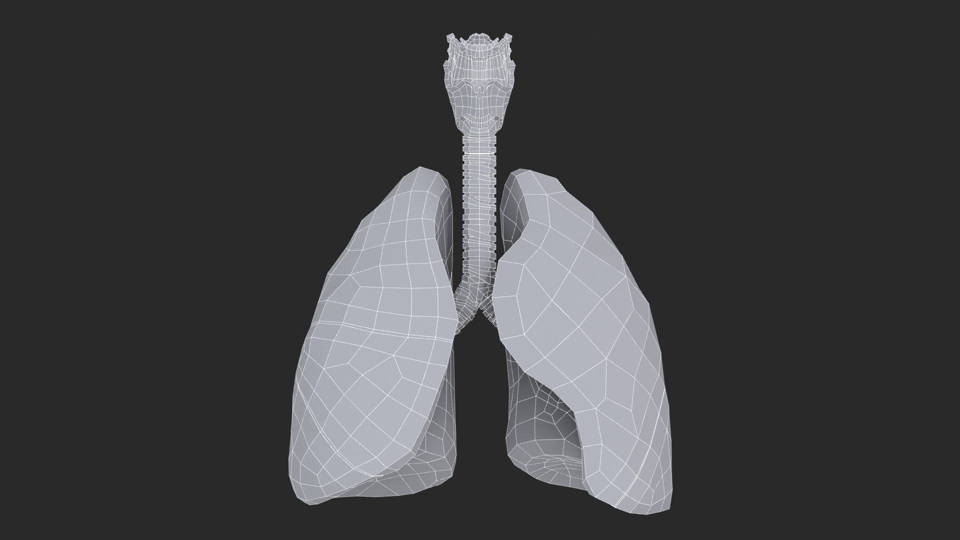 Larynx Trachea Lungs 3D model https://p.turbosquid.com/ts-thumb/px/fiMoXn/Dm/larynx_trachea_lungs_main_sub_0_f_0113/jpg/1766854435/1920x1080/fit_q87/00d213155e2f78482c077c4446d0a1b8667768e6/larynx_trachea_lungs_main_sub_0_f_0113.jpg