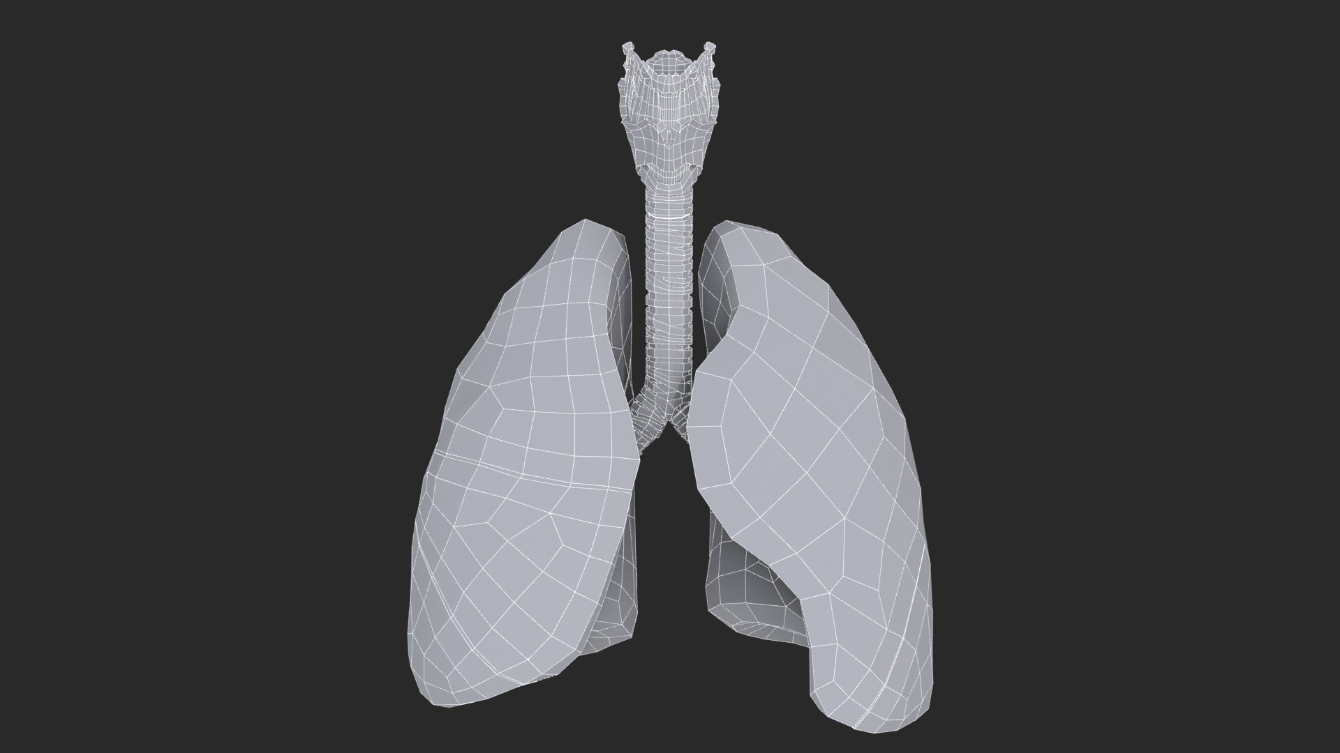 Larynx Trachea Lungs 3D model https://p.turbosquid.com/ts-thumb/px/fiMoXn/HC/larynx_trachea_lungs_main_sub_0_f_0097/jpg/1766854435/1920x1080/fit_q87/8dcd00d7d90d40b75ffbb1e337fb614a7295a9ee/larynx_trachea_lungs_main_sub_0_f_0097.jpg