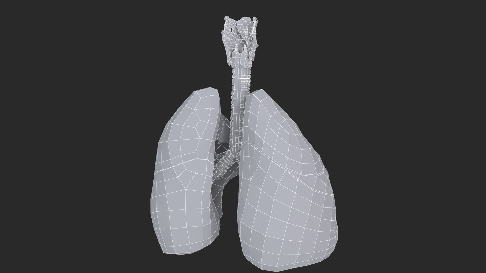 Larynx Trachea Lungs 3D model https://p.turbosquid.com/ts-thumb/px/fiMoXn/Z4/larynx_trachea_lungs_main_sub_0_f_0106/jpg/1766854435/1920x1080/fit_q87/fe1e0900c698182de959a2bb0a7fa1a21c8b4e3e/larynx_trachea_lungs_main_sub_0_f_0106.jpg