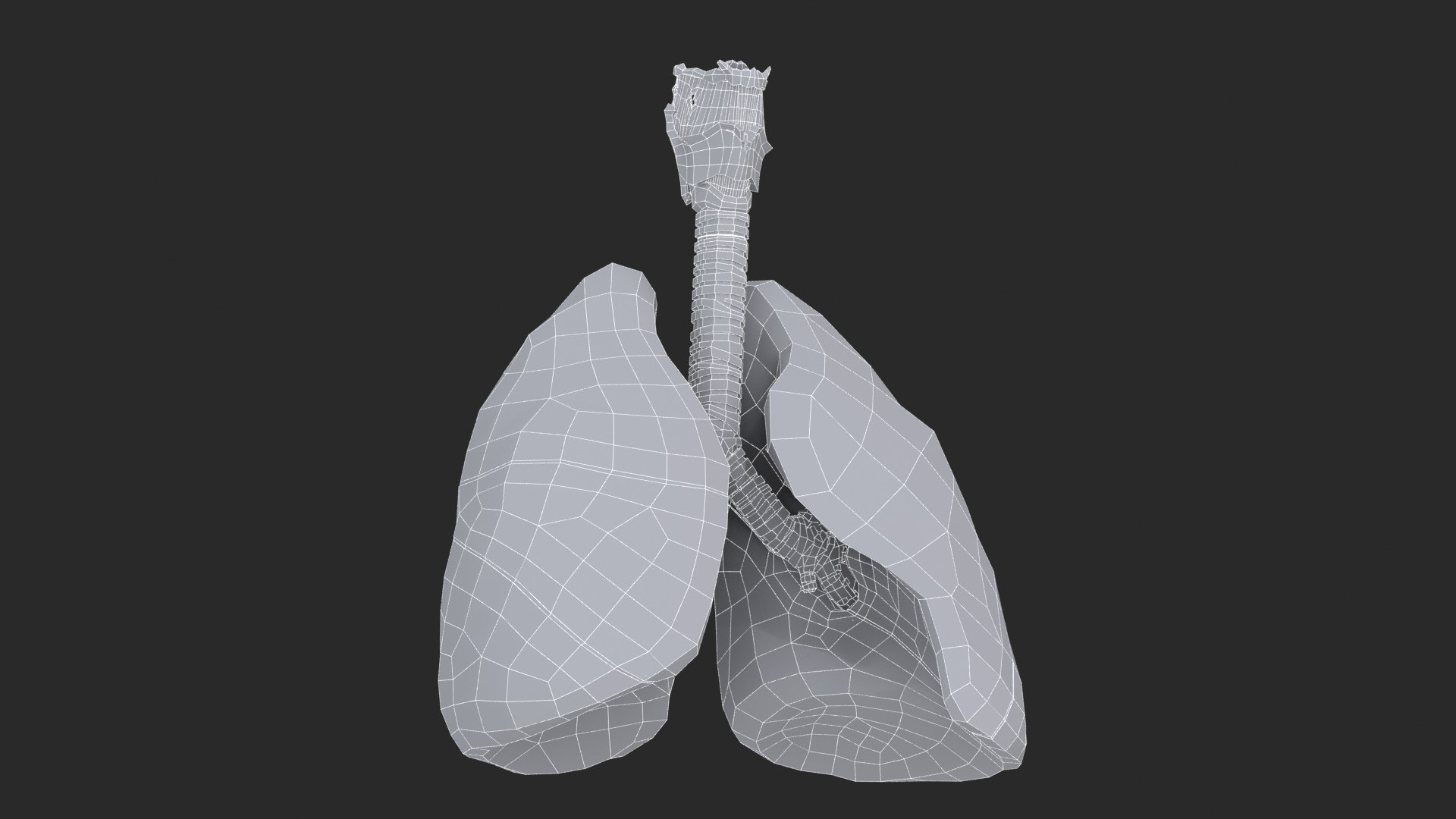 Larynx Trachea Lungs 3D model https://p.turbosquid.com/ts-thumb/px/fiMoXn/eV/larynx_trachea_lungs_main_sub_0_f_0144/jpg/1766854436/1920x1080/fit_q87/9101e39492898341314ce5b83dc730501619e4bc/larynx_trachea_lungs_main_sub_0_f_0144.jpg