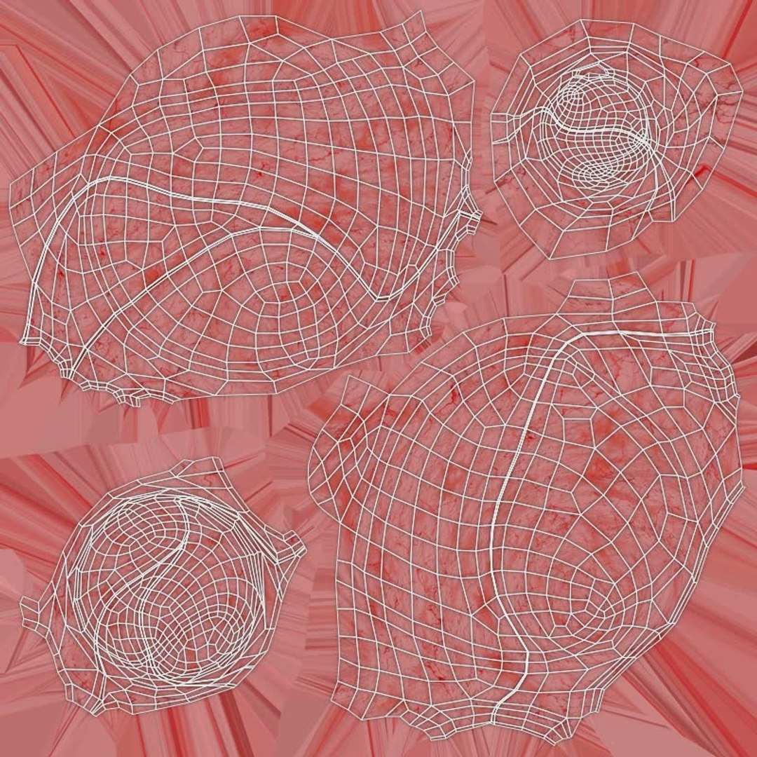 Larynx Trachea Lungs 3D model https://p.turbosquid.com/ts-thumb/px/fiMoXn/g9/larynx_trachea_lungs_lungs_grp_uv_snapshot/jpg/1766854421/1920x1080/fit_q87/3d6137bb6a8fbcf26446b7ddb35ead388edfe2d0/larynx_trachea_lungs_lungs_grp_uv_snapshot.jpg