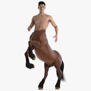 Male Centaur Action Pose Fur for Cinema 4D