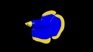 clown betta fish 3D model