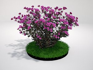 plant dark flowers 3d max
