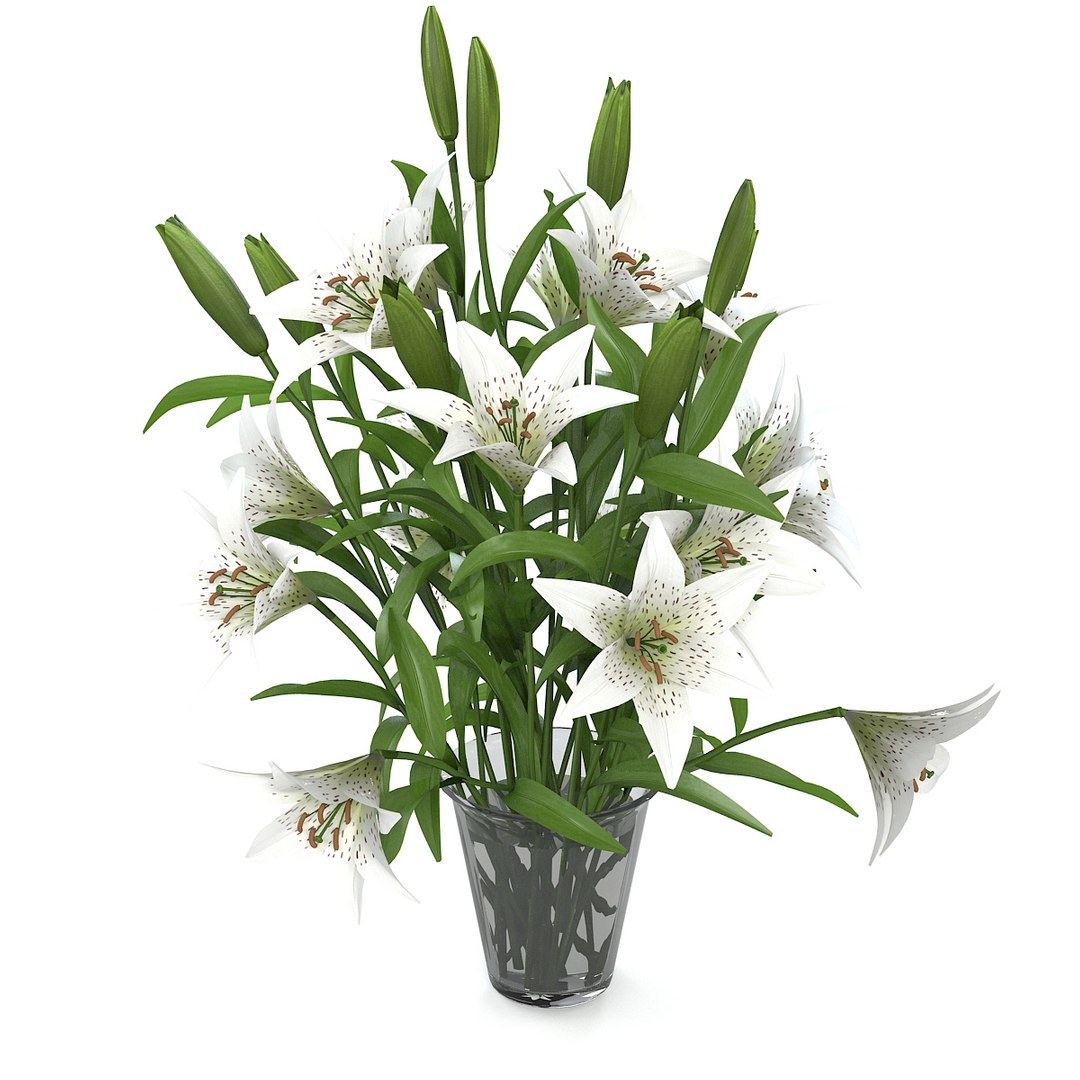 lily flower bouquet 3d model https://p.turbosquid.com/ts-thumb/py/0bNwHV/8IzWZlPk/lilyyys0002/jpg/1360611219/1920x1080/fit_q87/a90fc2363da3d80f8e9ef2a182e5738c559eff3c/lilyyys0002.jpg