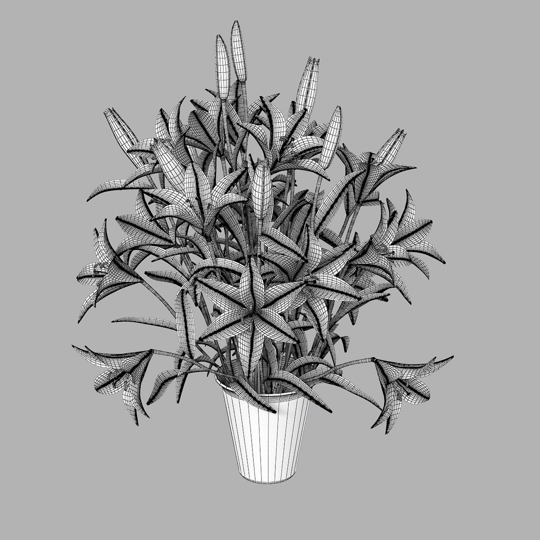 lily flower bouquet 3d model https://p.turbosquid.com/ts-thumb/py/0bNwHV/Dpe9R9Qj/lilyyys0004/jpg/1360611219/1920x1080/fit_q87/a3ee670b12ee517e8233a27a76be505550e62c58/lilyyys0004.jpg