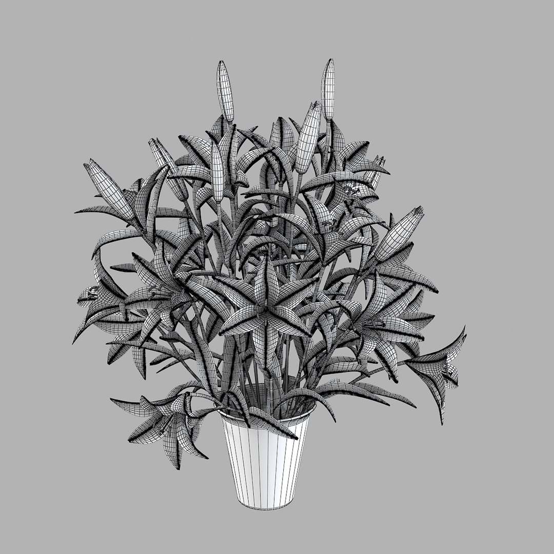 lily flower bouquet 3d model https://p.turbosquid.com/ts-thumb/py/0bNwHV/UDiqpx1w/lilyyys0005/jpg/1360611219/1920x1080/fit_q87/d771e8d68892966e5ad7485c12643994a6225ca6/lilyyys0005.jpg
