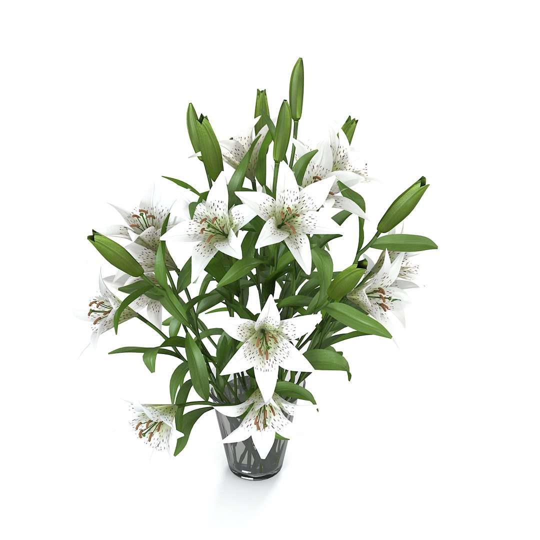 lily flower bouquet 3d model https://p.turbosquid.com/ts-thumb/py/0bNwHV/zBt5RXTj/lilyyys0003/jpg/1360611219/1920x1080/fit_q87/f082e0fc284cf531de72c64ba17382e953daa432/lilyyys0003.jpg