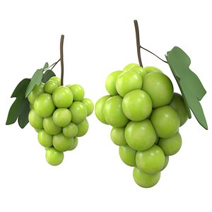 Cartoon Grape Green 3D model
